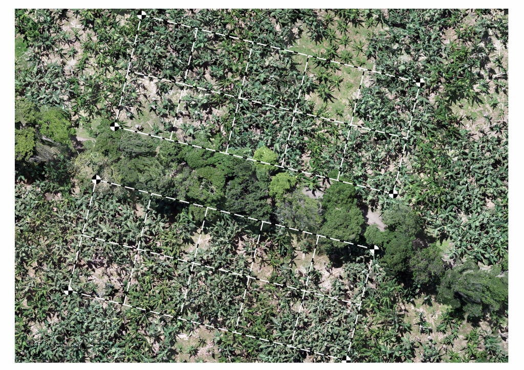 Experimento_agricola_01